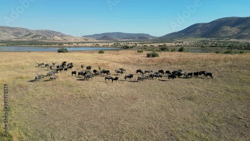 Wildlife Skyline At Rustenburg In North West South Africa. African Animals Landscape. Pilanesberg National Park. Rustenburg At North West South Africa. Big Five Animals. Wildlife Safari.