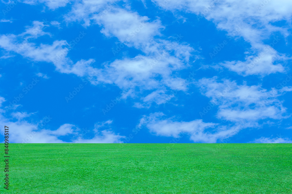 Naklejka premium 緑の高原