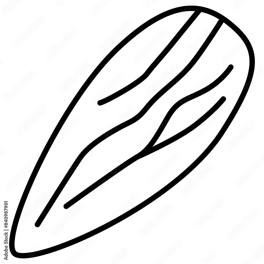 Almond Outline Almond Outline