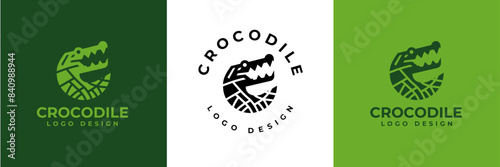 Crocodile Logo Vector, Crocodile head logo, Alligator logo Illustration Alligator head logo vector design for strong business identity