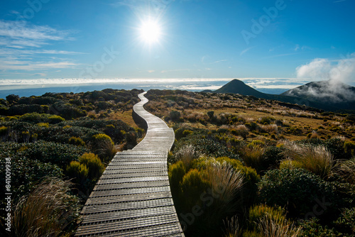 Fotografie Pouakai Circuit Track - New Zealand