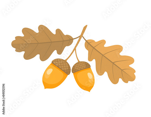 Autumn oak branch with acorn and leaves flat style illustration isolated cutout on transparent