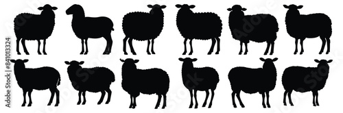 Sheep silhouettes set, pack of vector silhouette design, isolated background