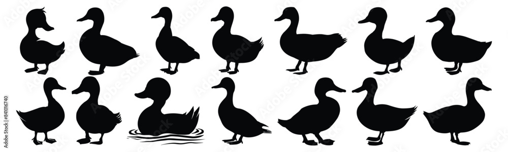 Duck silhouette set vector design big pack of illustration and icon Duck silhouette set vector design big pack of illustration and icon