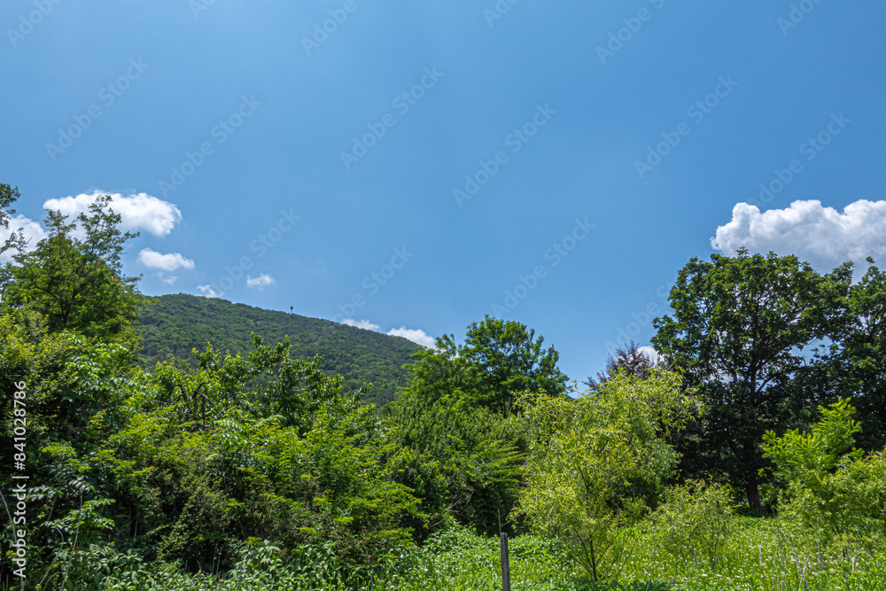 Obraz premium 九龍村 クリョンマウル スラム 韓国 ソウル カンナム