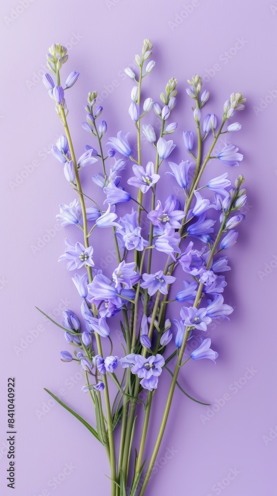 Obraz premium bouquet of bluebell flowers arranged on a light purple background