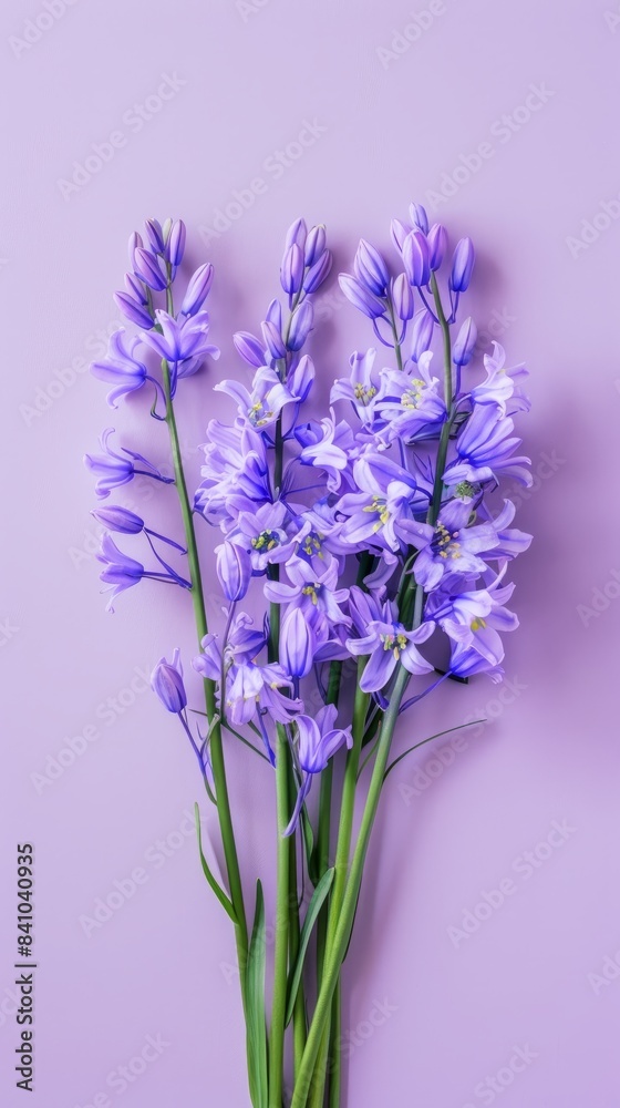 Obraz premium A bouquet of purple flowers sits on a lavender-colored background