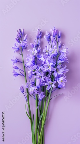 A bouquet of purple flowers sits on a lavender-colored background