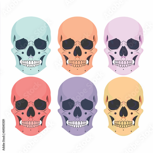 Six colorful skulls arranged two rows, varying pastel hues. Skull illustrations depicting human head bones empty eye sockets toothy smiles. Cartoonish skulls tones blue, orange, purple, red, gray