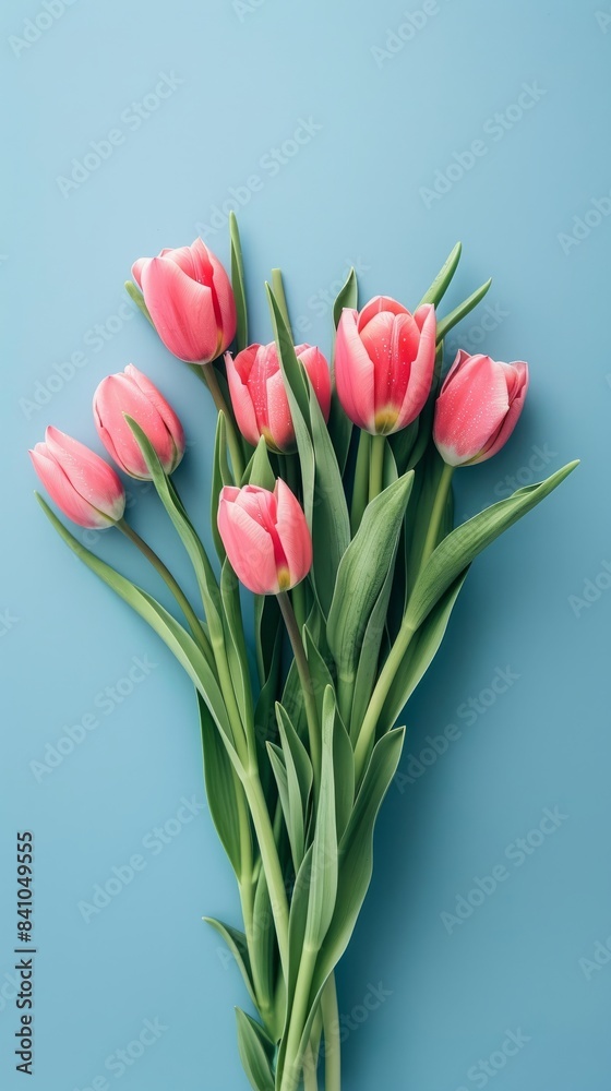 A bouquet of pink tulips against a light blue background A bouquet of pink tulips against a light blue background