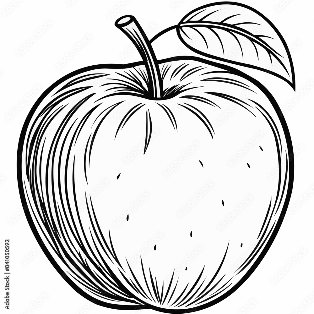 illustration of an apple illustration of an apple