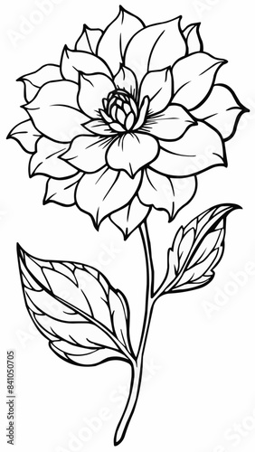 hand drawn flower