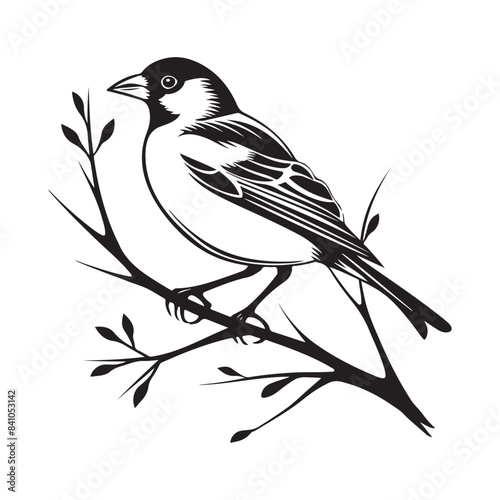 Sparrow bird on a tree branch. Black and white illustration. Stock Illustration 
