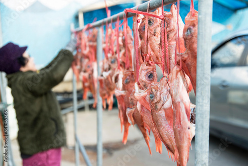 View of drying red fishes at the harbor