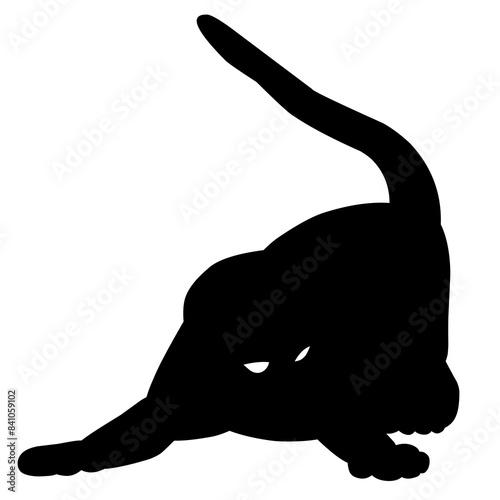 silhouette of a cat