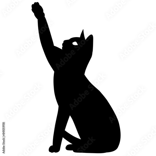 black cat silhouette