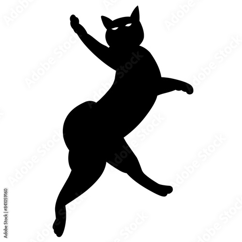 silhouette of a person jumping
