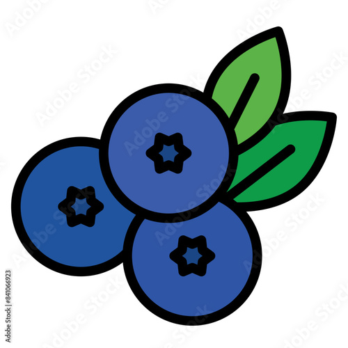 blueberry icon 