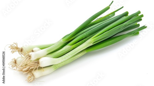 Fresh green onions freshly picked from the garden on a white background with clipping path