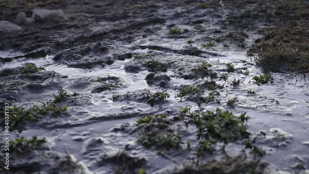 Water Flowing Through Muddy Terrain Ground With Puddles and Grass, Close Up Water Flowing Through Muddy Terrain Ground With Puddles and Grass, Close Up