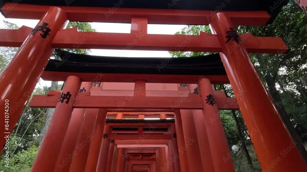Looking Into Thousands Of Traditional Red Gates Of Fushimi Inari Taisha Sembon Torii In Kyoto, Japan. Low Angle Shot Looking Into Thousands Of Traditional Red Gates Of Fushimi Inari Taisha Sembon Torii In Kyoto, Japan. Low Angle Shot