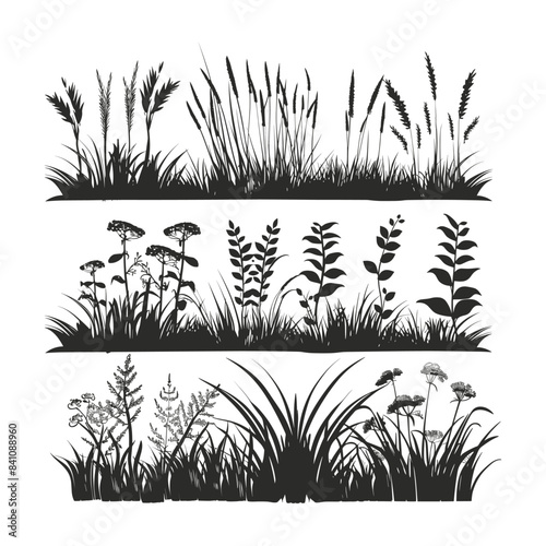 Silhouette set of grass borders vector  © Ety