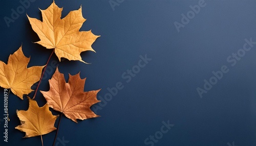 Colorful fall leaves  nuts and pine cones. Corner border over a rustic dark banner background. Overhead view with copy space
