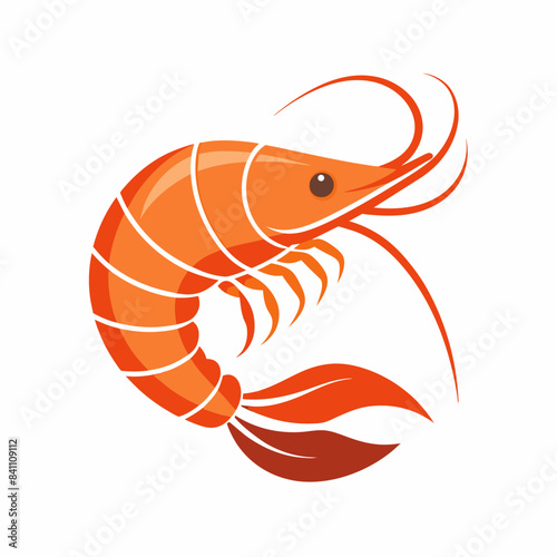 vector illustration of shrimp