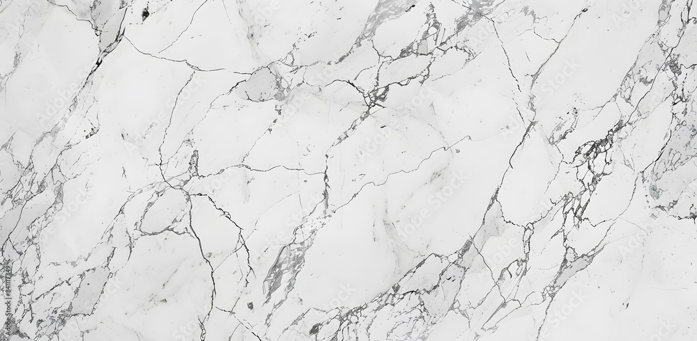 Fototapeta premium High Resolution White Marble Texture Background