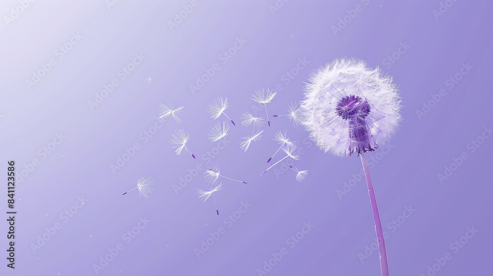 White Dandelion Seeds Dispersing in the Wind on a Purple Sky White Dandelion Seeds Dispersing in the Wind on a Purple Sky