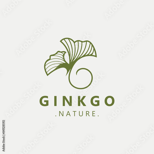 Ginkgo biloba logo nature. Healthy leaf organic used in medicine for disease treatment with line art style design