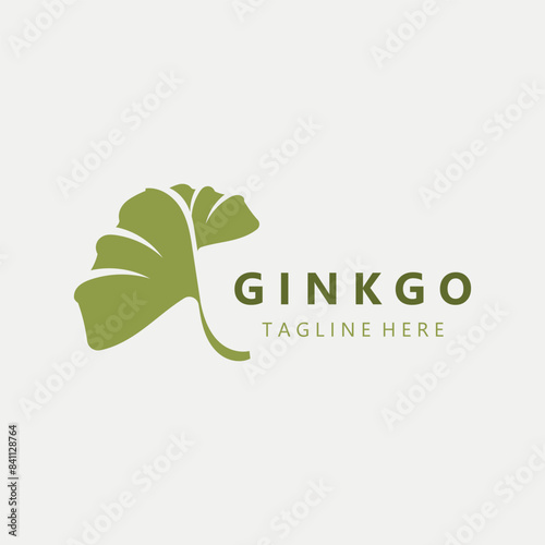 Wallpaper Mural Ginkgo biloba logo nature. Healthy leaf organic used in medicine for disease treatment with line art style design Torontodigital.ca