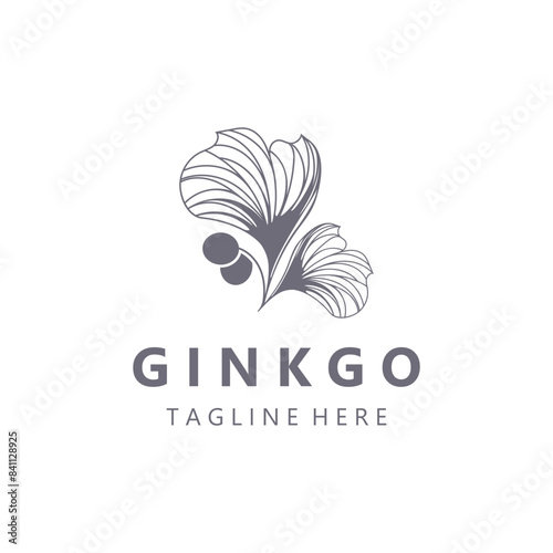 Ginkgo biloba logo nature. Healthy leaf organic used in medicine for disease treatment with line art style design