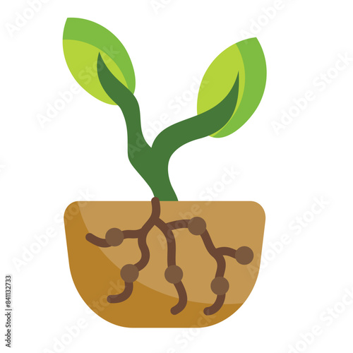 Nodule Icon