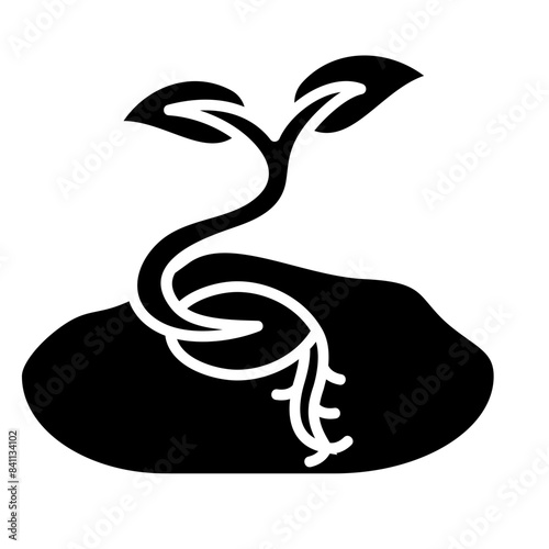 Germination Icon