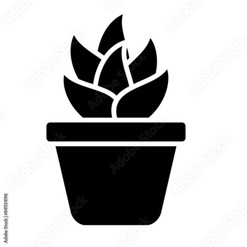 Succulent Icon