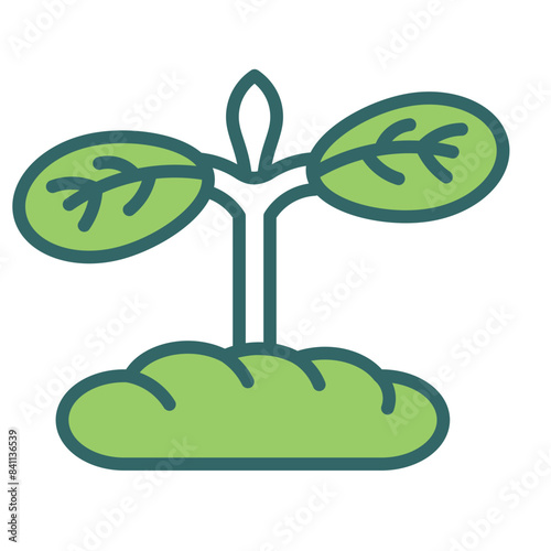 Cotyledon Icon