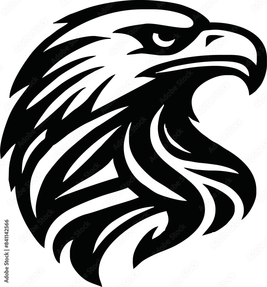 Fototapeta premium Eagle head icon logo vector