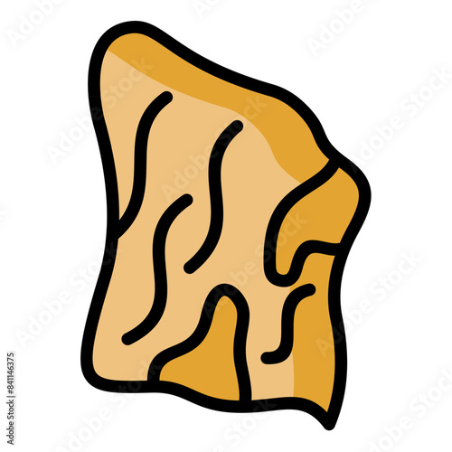 Veneer Icon