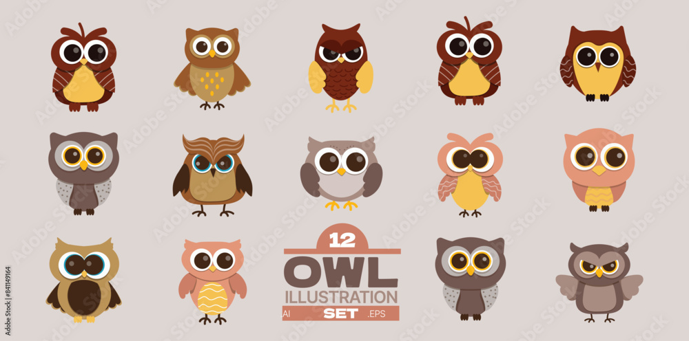 Fototapeta premium Owl Illustration Set