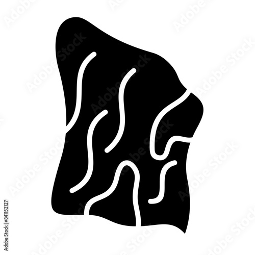 Veneer Icon
