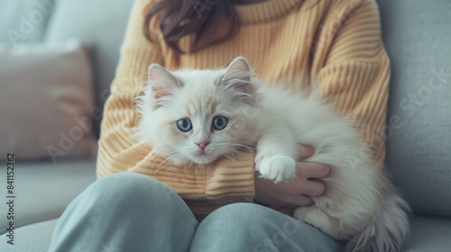 Cute kitten hugged by a woman on a minimalist sofa, cat with soft white fur and big blue eyes, Ai generated Images photo