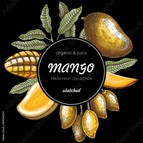  Tropical fruit banner collage style. Summer background. Mango sketch, hand-drawn vector illustration. Juice packaging, invitation card template, print design. NOT AI generated