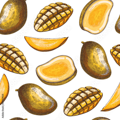 Tropical fruit seamless pattern. Ripe mango sketch. Hand-drawn vector illustration. Exotic plant background, texture, textile design. NOT AI generated