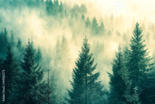 Misty landscape with fir forest in vintage retro style