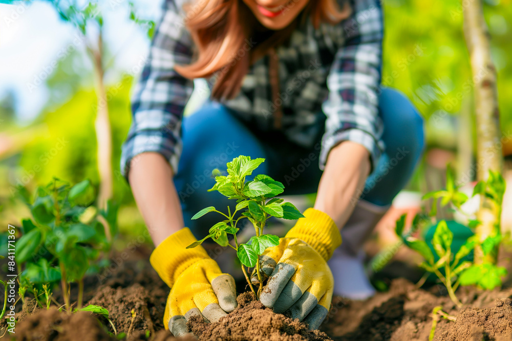 Fototapeta premium Person planting trees or working in community garden promoting local food production and habitat restoration, concept of Sustainability and Community Engagement