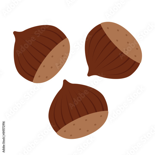 chestnuts flat vector illustration logo icon clipart