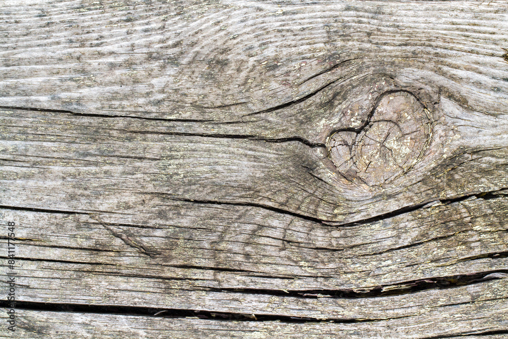 The texture of old wood with a knot. Cracked wooden plank close-up. The texture of old wood with a knot. Cracked wooden plank close-up.