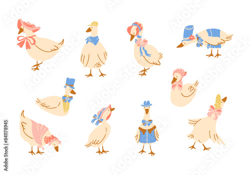 Geese vintage characters hand drawn elements