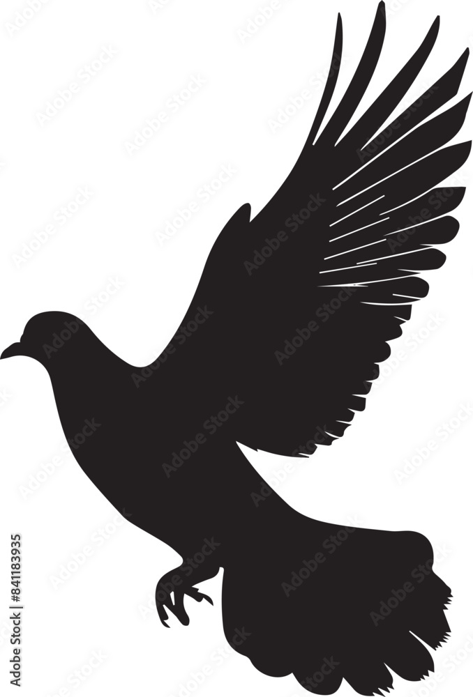 Fototapeta premium silhouette of a flying bird